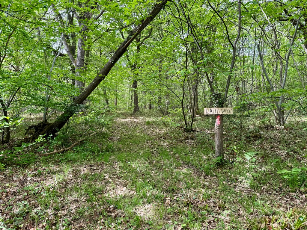 Lot: 2 - OVER 12 ACRES OF WOODLAND - Track onto woodland